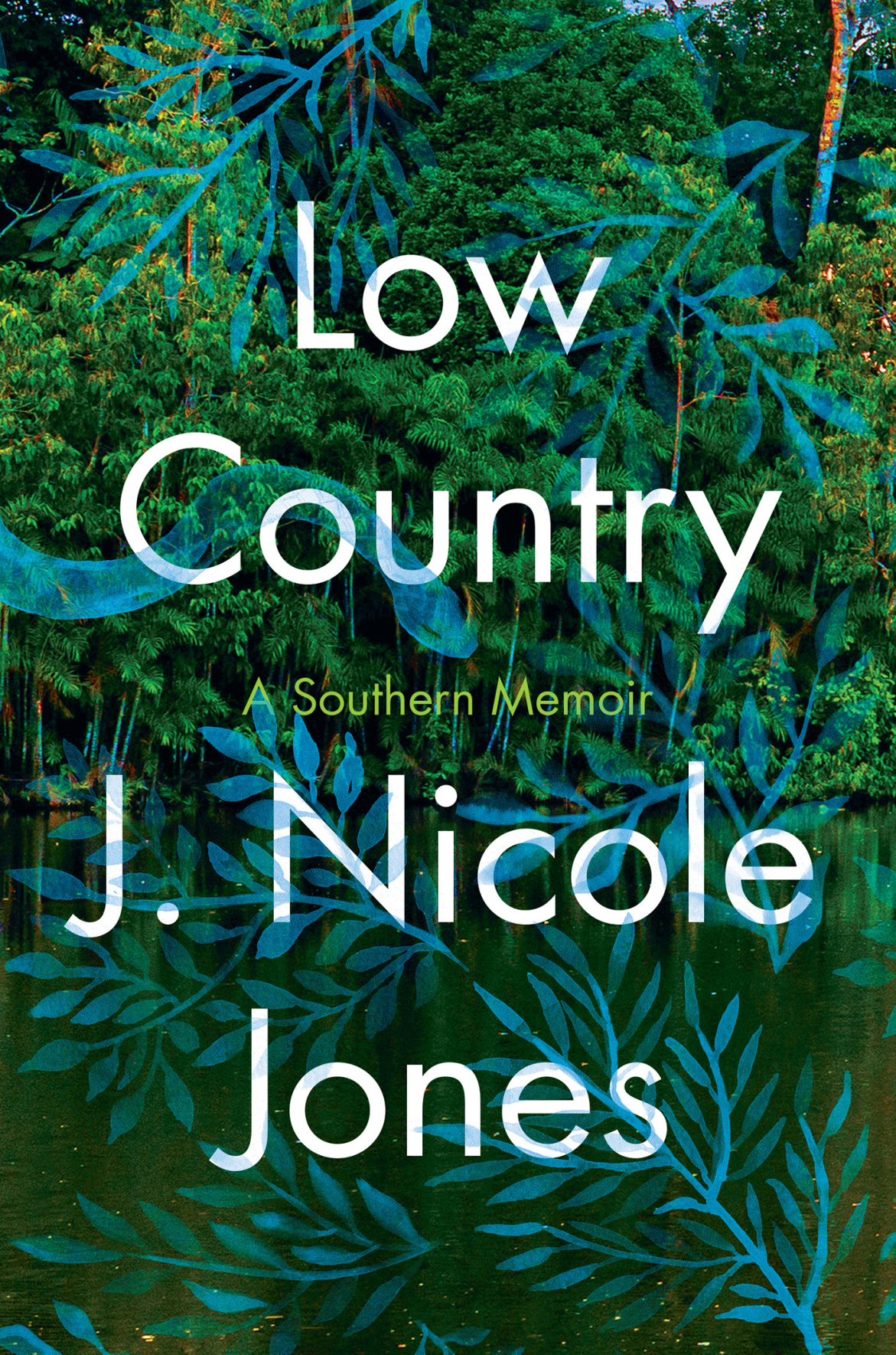 J. Nicole Jones Conjures Her South Carolina Family’s Storied Past in <i>Low Country</i>